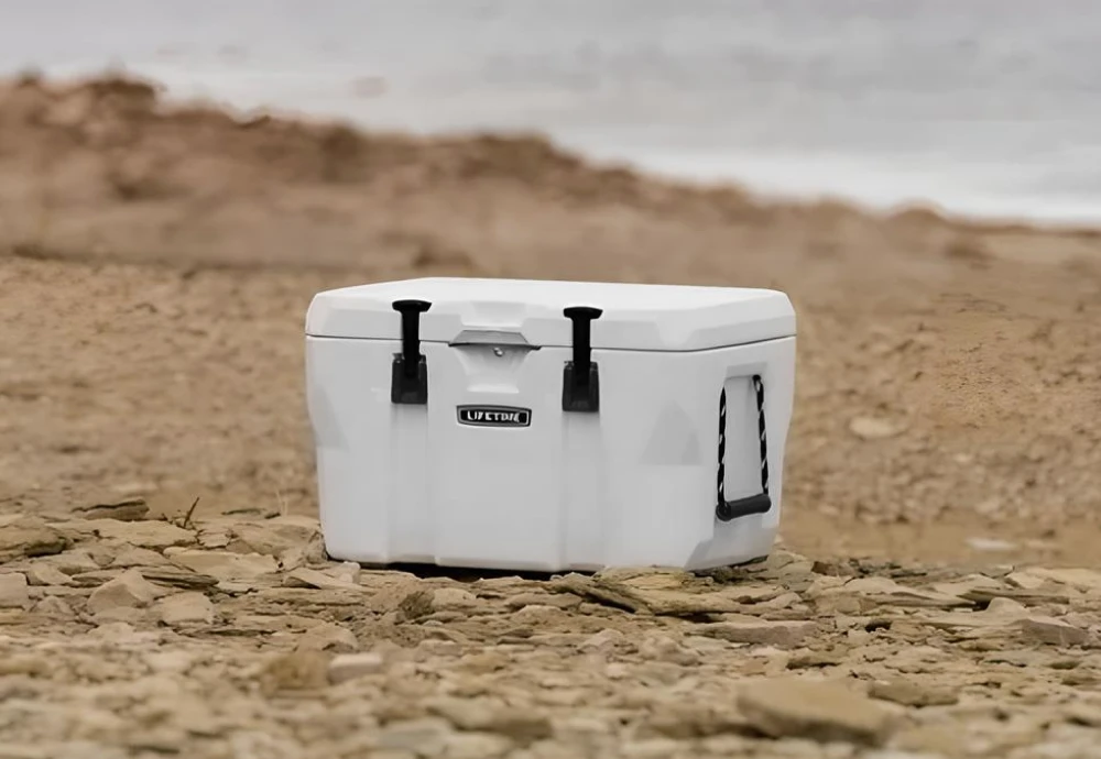 outdoor ice cooler