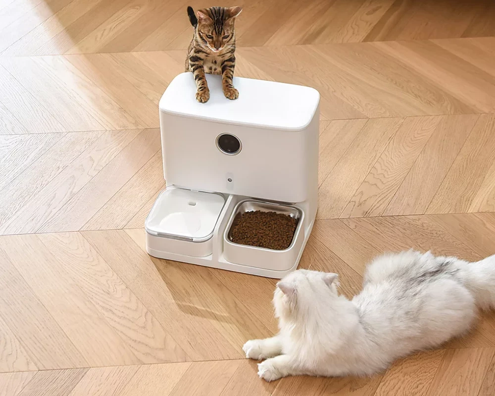 automatic pet feeder for 2 cats